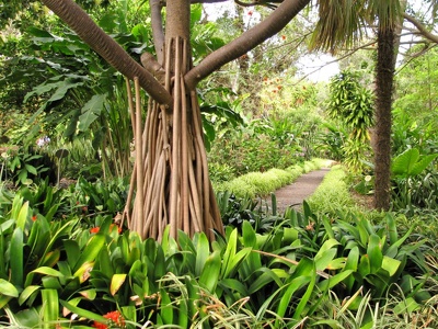 botanischer Garten Puerto de la Cruz