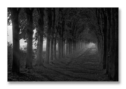 dark way  -  dunkler Weg...