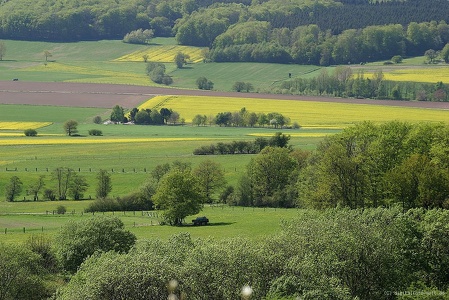 Felder westlich des Schönbergs
