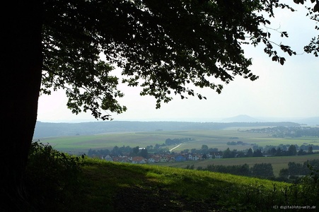 Waldrand am Burgberg Richtung Breitenbach